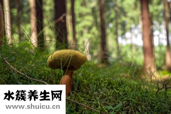尤鱼汤制作