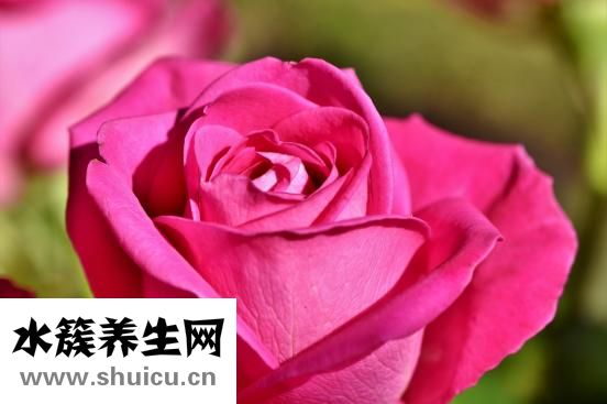 什么是阳光抑郁症