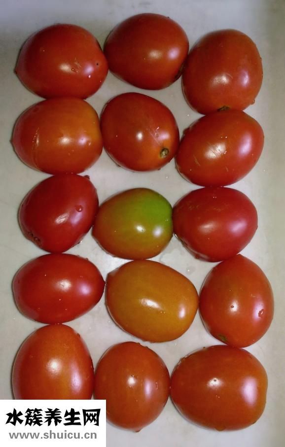 土豆是根还是茎