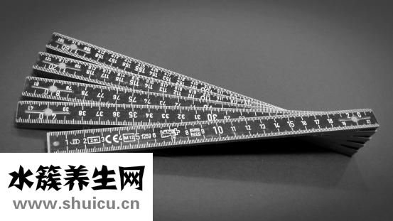 山药的种类