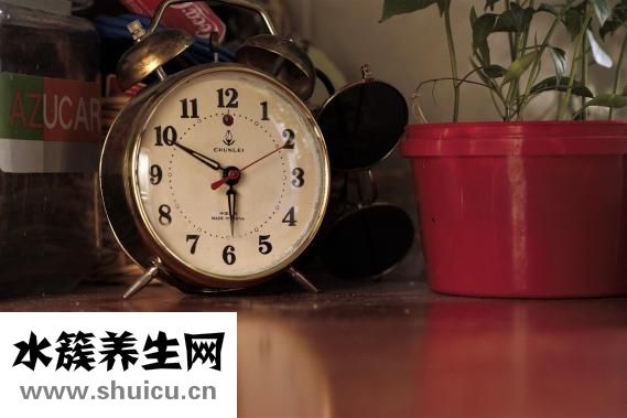 怀孕能吃烤鸭吗