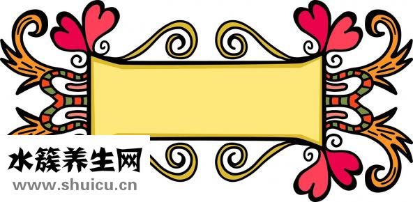 晚上可以吃红薯吗