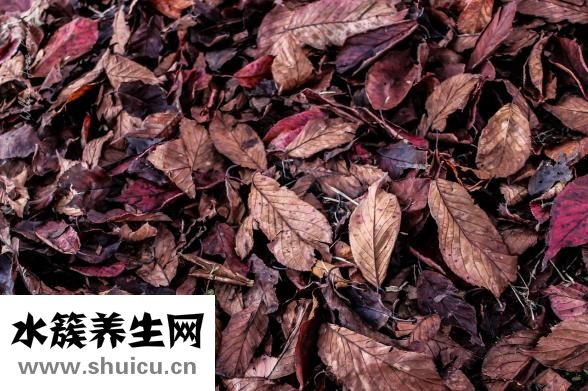 养胃喝什么