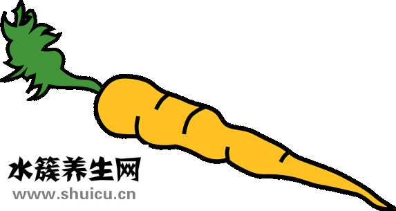 萝卜汁美白肌肤每日一杯即可