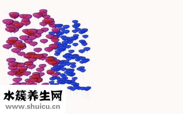一个鸡蛋大概多少克