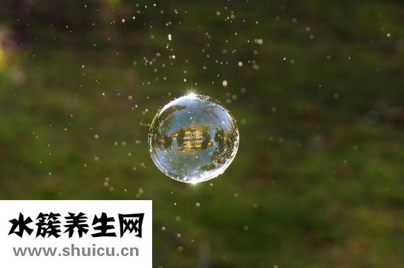 怎样判断是过敏