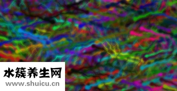 一个鸡蛋大概多少克