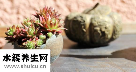 叶状乳头炎