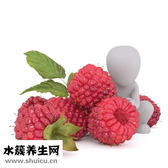 怎么发绿豆芽
