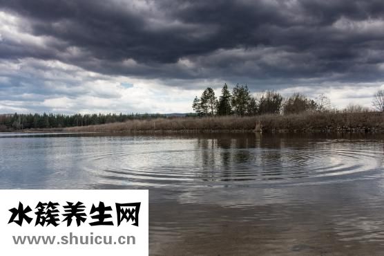 十大瘦身水果