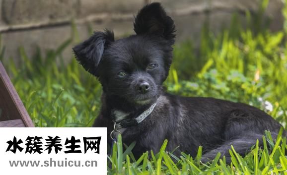 上颌骨骨折