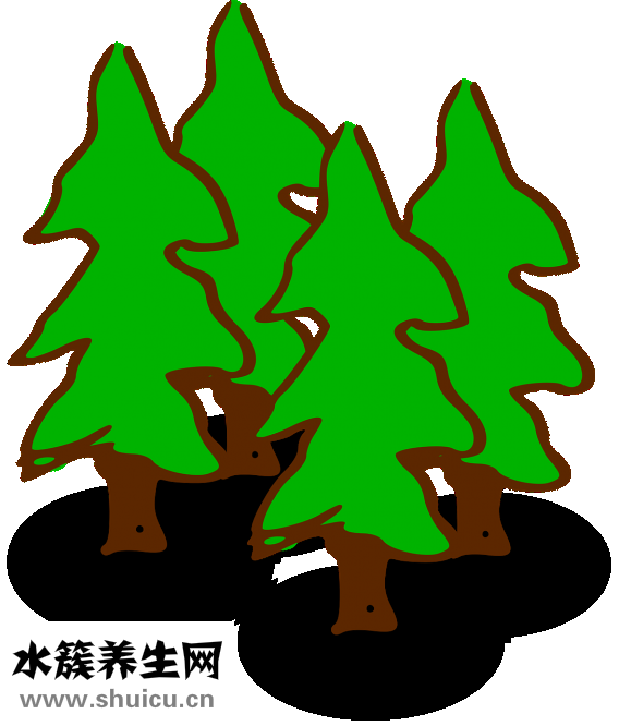 乌鱼子是什么东西
