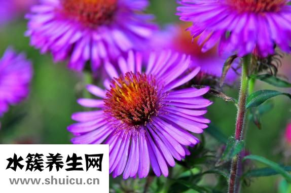 孕妇能做足疗吗