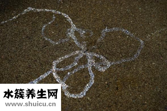 山药能减肥吗