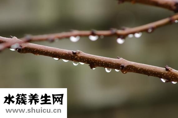 怎么去除体内湿气