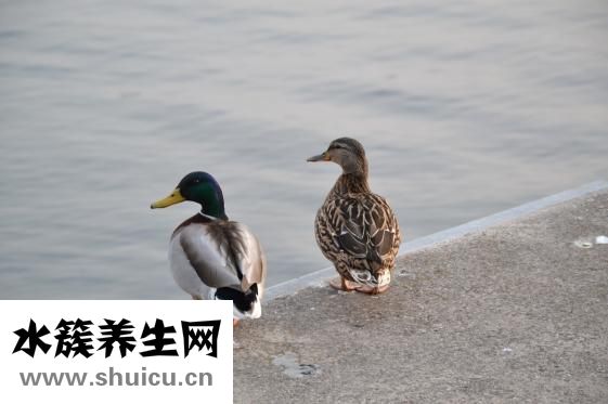 双眼皮图片
