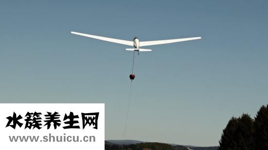 太阳穴跳动