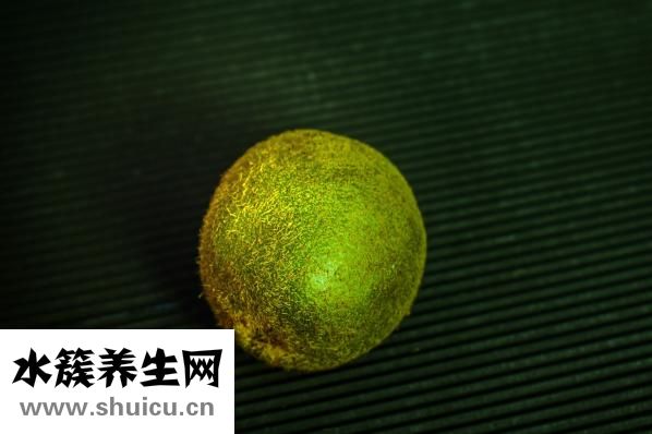 我与孕妇欲乱