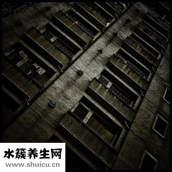 上下腔静脉