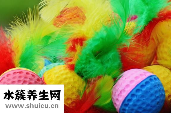孕妇能不能吃枸杞