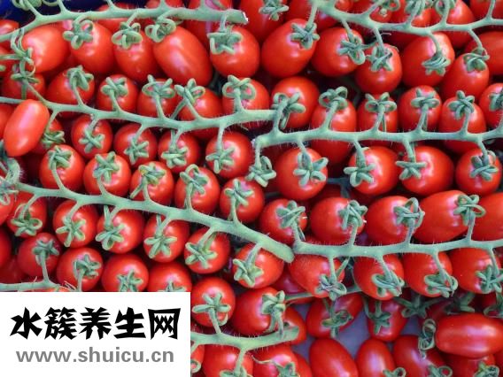 孕妇可以吃芝士吗