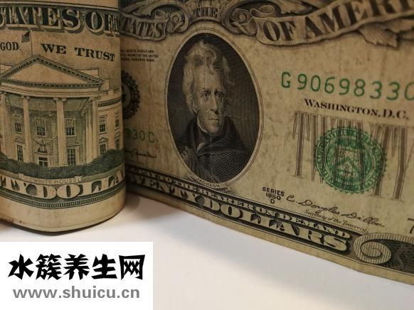 一个肉包子的热量