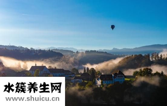 孕妇能不能吃枸杞