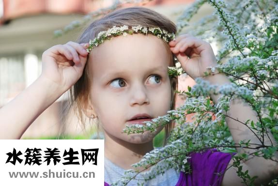 上下腔静脉
