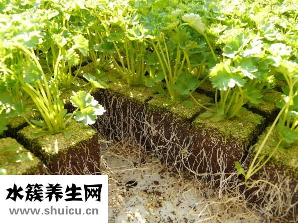 小黄鱼怎么做好吃