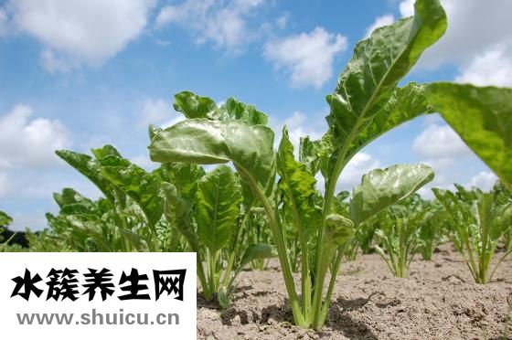 下巴底下有痣