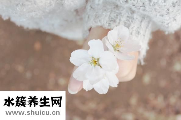 抬头纹如何去除