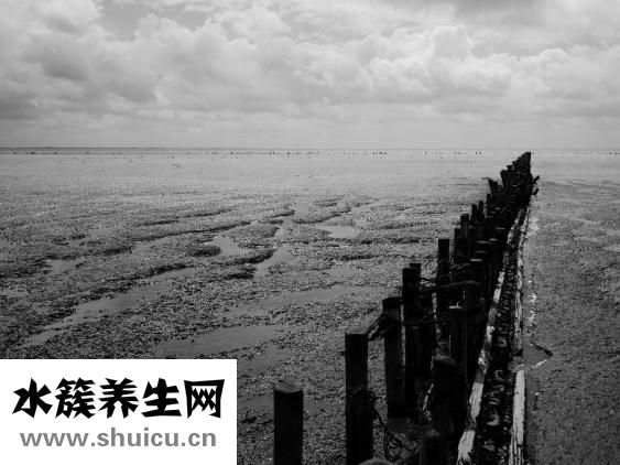 怎么去除斑点
