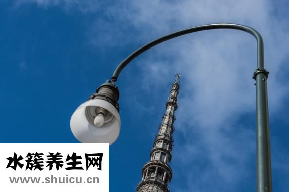 容易癌变的痣的图片