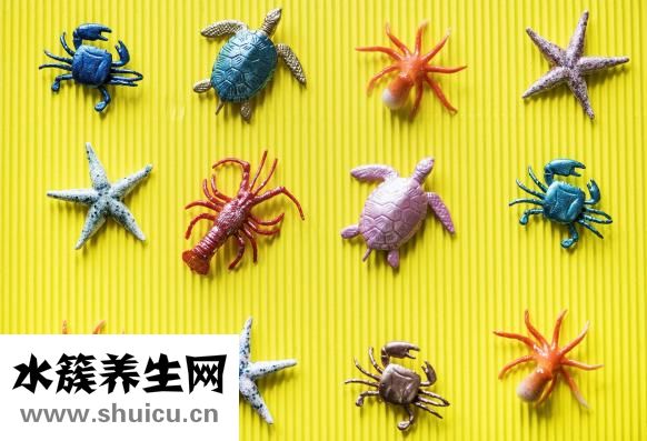 卫生间的门