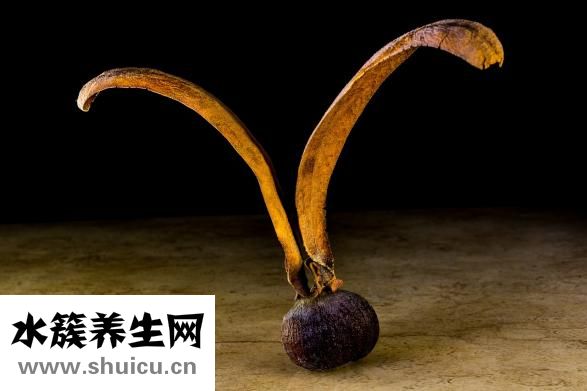 厌氧菌是什么菌