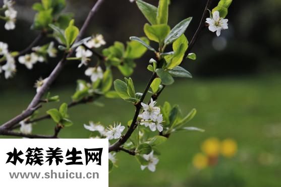 手冷怎么回事