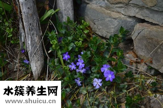 抬头纹如何去除