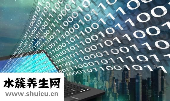 天麻价格多少钱一斤