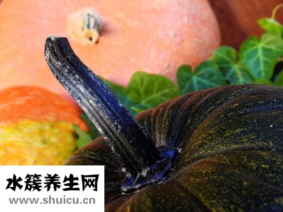 晚上吃什么不长肉