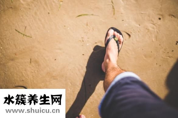 墨旱莲的功效与作用