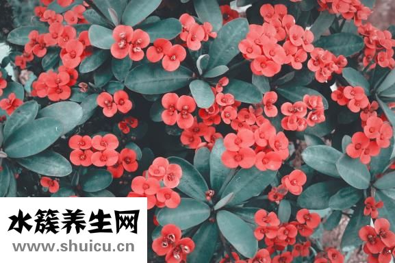 体温量多久