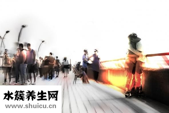 什么酸奶最好