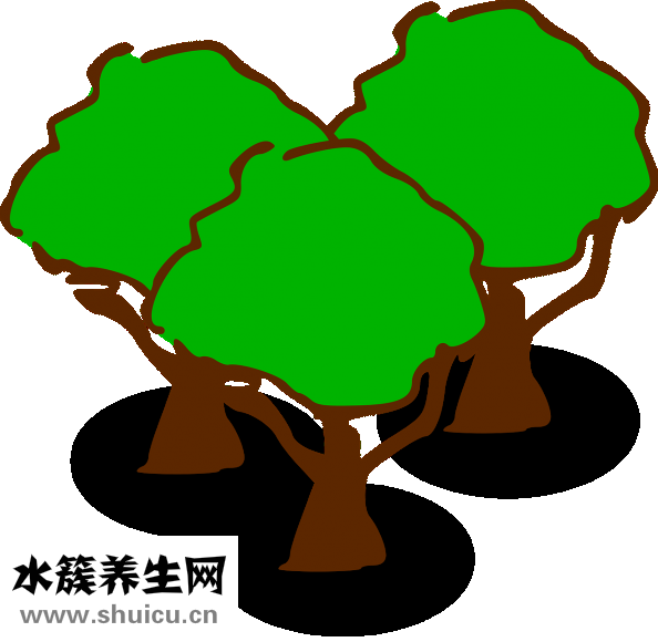 什么东西提神