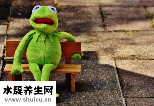 一吃东西就想吐