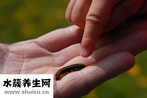 手指没月牙