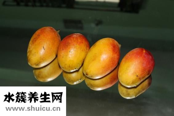 山药提取物