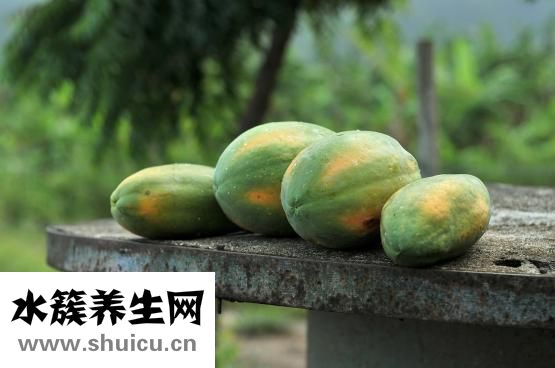 养生保健知识