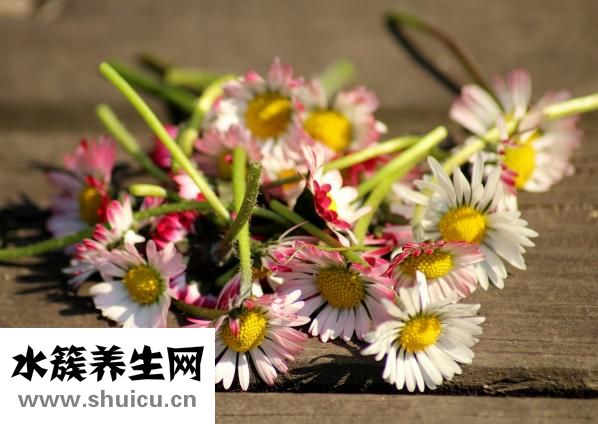 中医推拿可以减轻我们的消极情绪