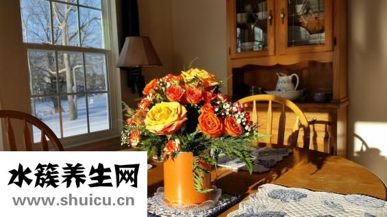 先兆性流产的原因