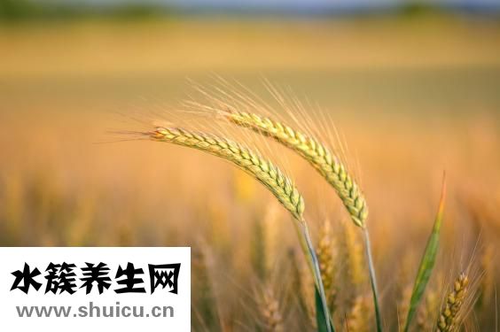 头疼想吐是什么原因